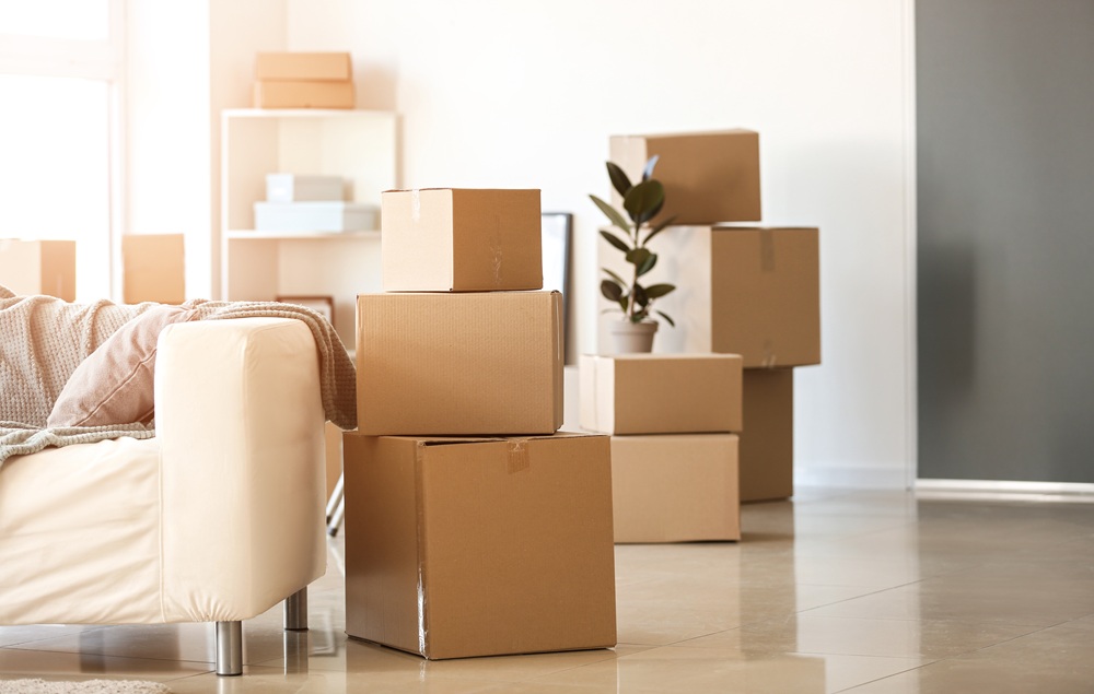 結果・その後について