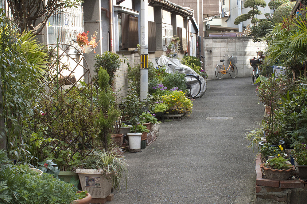 遠方からの管理が難しく徳島市の実家を不動産買取で整理した事例