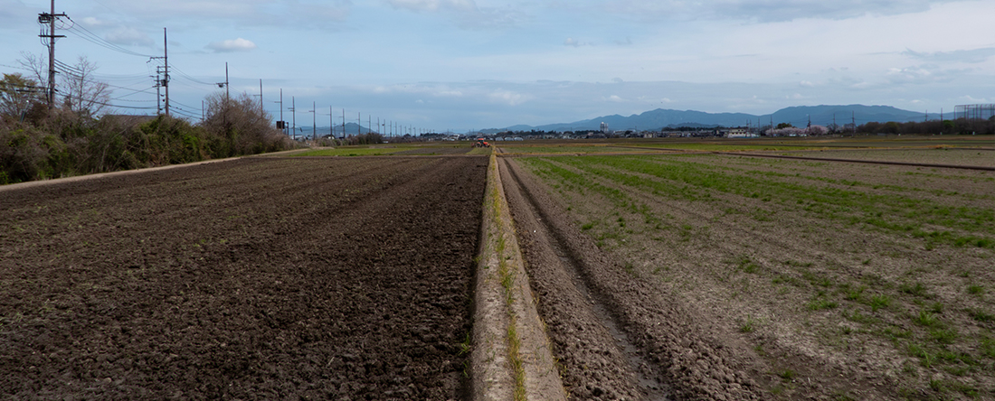 1.徳島市にお住まいのE様が、「相続した農地を宅地に転用して売却した事例」